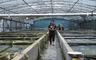 湖州水产养殖合作社如何助力渔民增收？