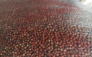 白鹆一般用什么时候饲料