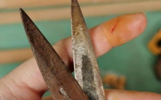 牛破伤风如何有效治疗？