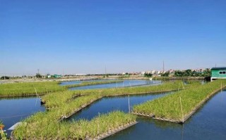 中山水产养殖有何特色或优势？