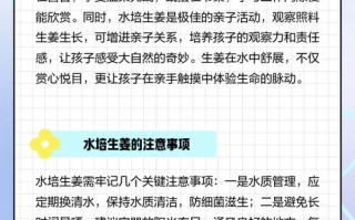 生水培姜怎么制作方法