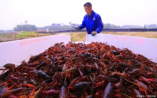 2025广东水产养殖有何新趋势与挑战？