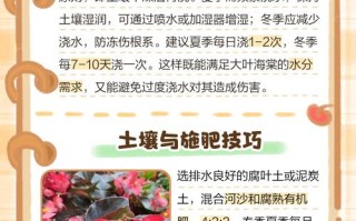 叶子花怎么养？图解步骤有哪些？
