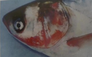 OIE水产动物细菌病