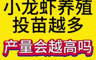 龙虾什么时候养殖