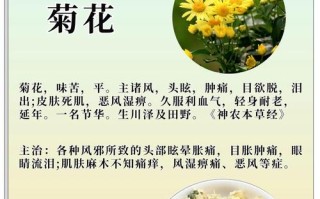 菊花品种数量究竟是不是世界第一？