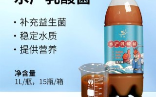 水产养殖乳酸菌扩培如何高效操作？