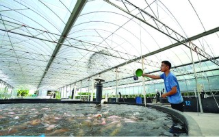 水产养殖什么挣钱