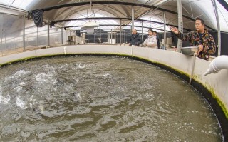 化州养殖水产面积多大