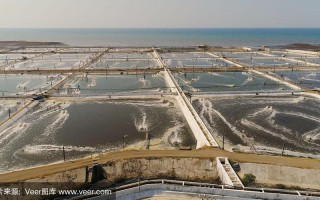 印尼水产养殖开发潜力有多大？