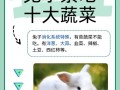 兔子为什么不能吃鸭饲料