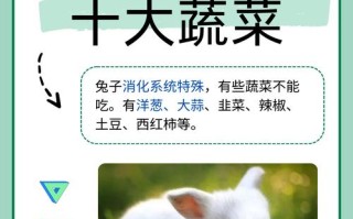 兔子为什么不能吃鸭饲料