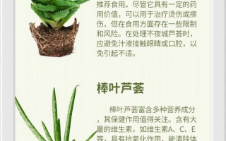 如何分辨芦荟品种？