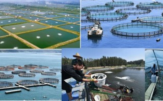 泉州水产养殖污染防治有何良策？