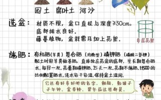 矮牵牛怎么种？种植方法有哪些要点？