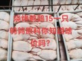 鹌鹑价格多少2017年