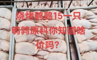 鹌鹑价格多少2017年