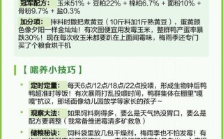 最新蛋鸭饲料配方方法是什么？