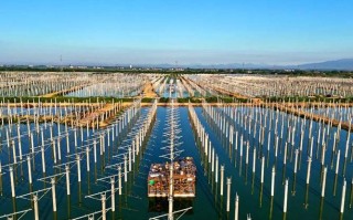 水产基地养殖用电如何配套才高效？