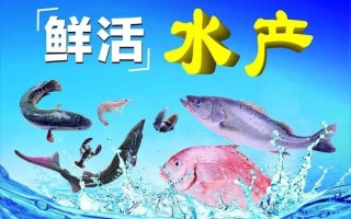 水产贸易网站如何赋能水产行业发展？