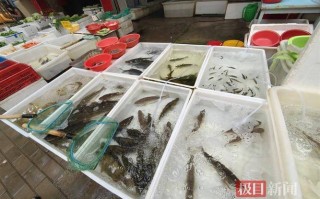 武汉淡水水产批发市场