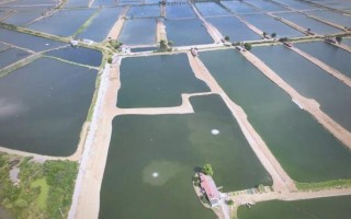 水产养殖为什么用地西洋