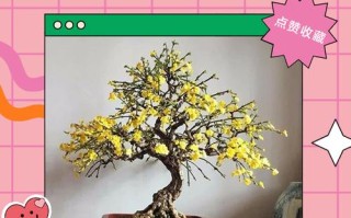 迎春花怎么浇水才正确？