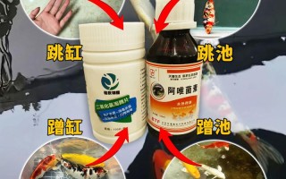 水产用二氧化氯具体有哪些功效？