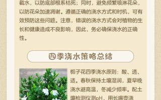 栀子花浇水正确方法是什么？