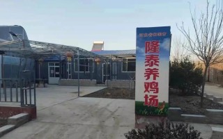 河北涉县适合什么养殖