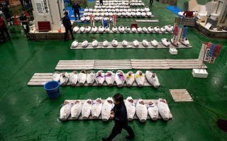 东京丰州市场 拍卖方法