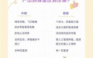 意蜂修造巢脾有哪些高效技巧？