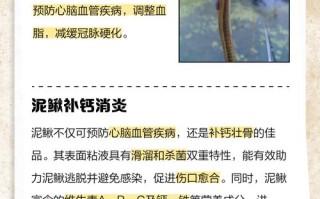 泥鳅常见疾病有哪些？如何有效防治？