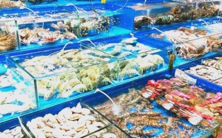 广州水产批发市场具体位置在哪？