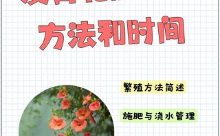 凌霄花怎么养才爆花？