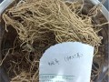 根类中草药有哪些品种