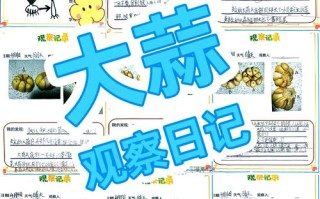 大蒜的使用方法怎么种植