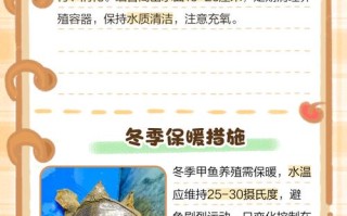 为什么温室养殖的甲鱼便宜