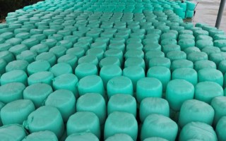 什么是饲料青储