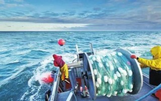 厦门远洋捕捞水产公司主营哪些产品？