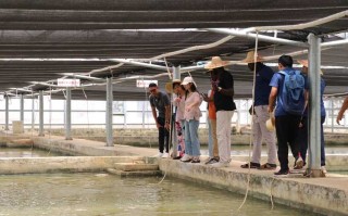 班级水产基地实践总结