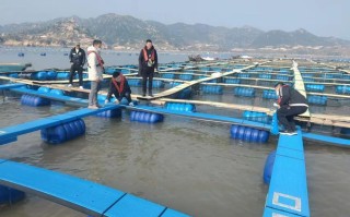 海上网箱养殖什么最好