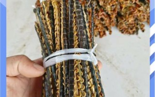 养殖蜈蚣视频教程怎么做？