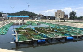 海南水产养殖行业现状如何？