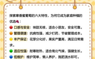 冰葡萄一年能结两季？品种特性揭秘