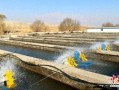 甘肃平凉水产养殖基地