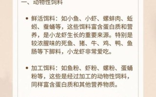 养小龙虾投喂什么饲料