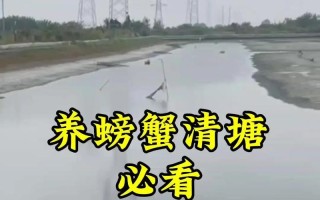 挖塘养殖大闸蟹消毒用什么好