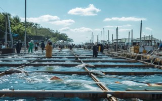 水产品养殖什么赚钱