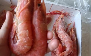 红白虾是哪个品种？